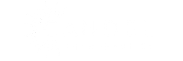 Candel Therapeutics LEAP HR: Emerging Biopharma