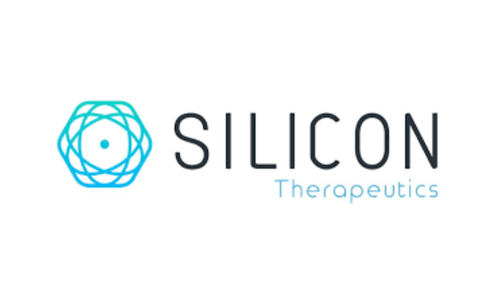 Silicon