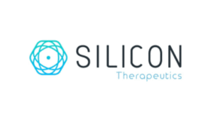 silicon (1)